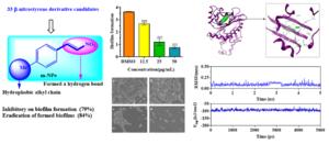 Discovery of β‐nitrostyrene derivatives as po