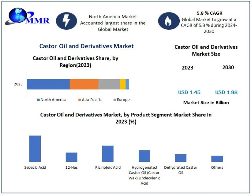 Castor Oil and Derivatives Market